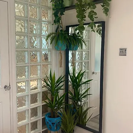 Tavros * 브리스틀