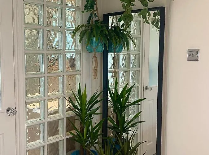 Tavros * بريستول